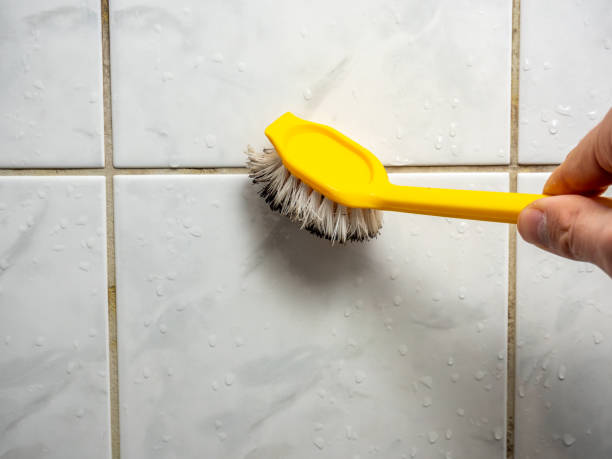 Best Post-Flood Mold Remediation in Midland City, AL