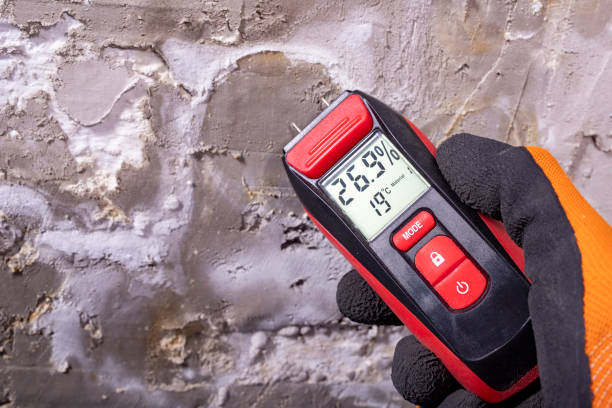 Professional Mold Remediation in Midland City, AL